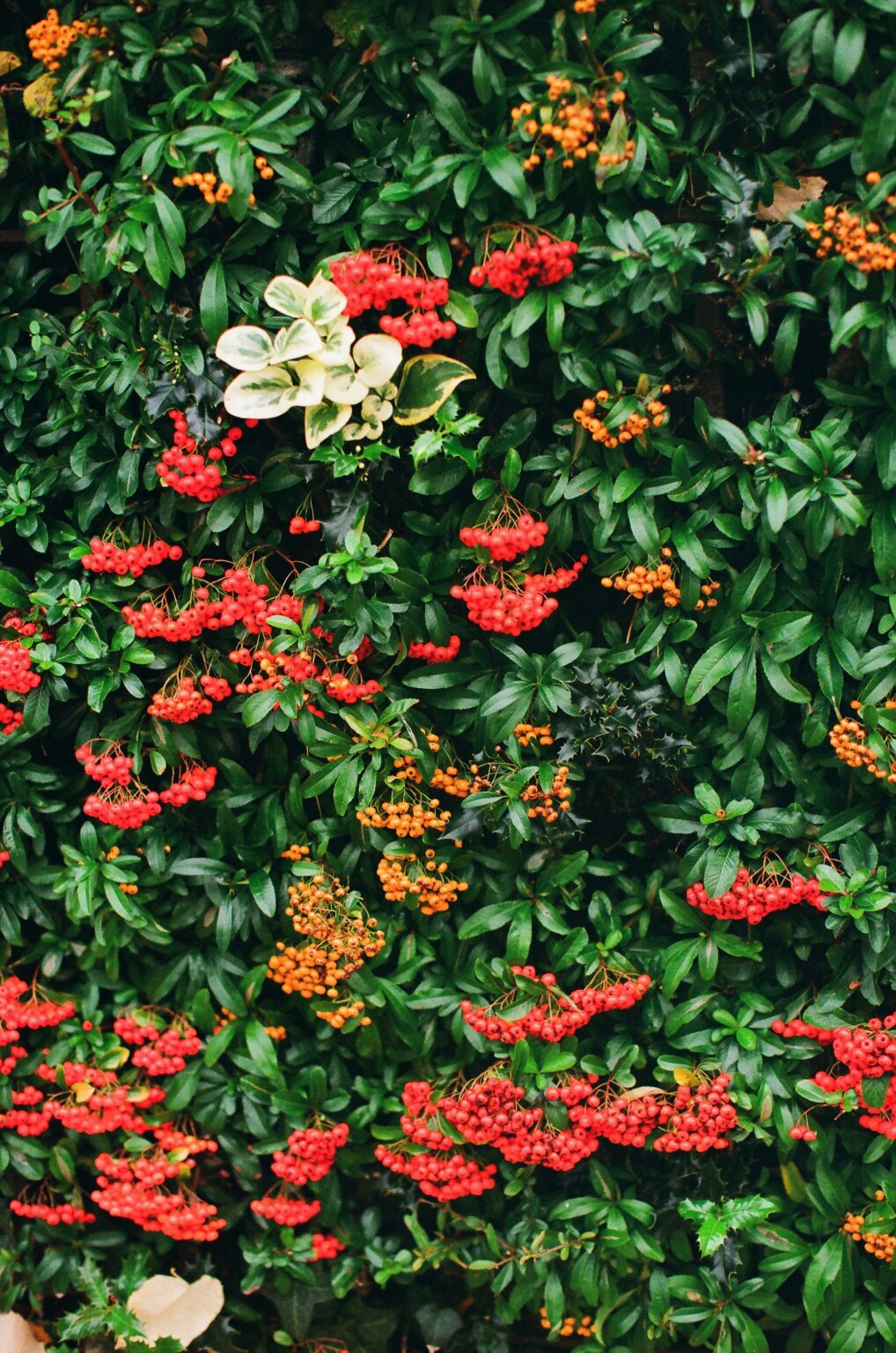 tanya-barrow-2j5WbavtBR8-unsplash